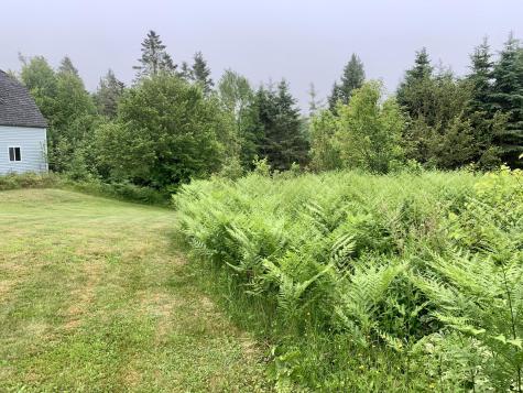 150 Leach Point Road Perry ME 04667