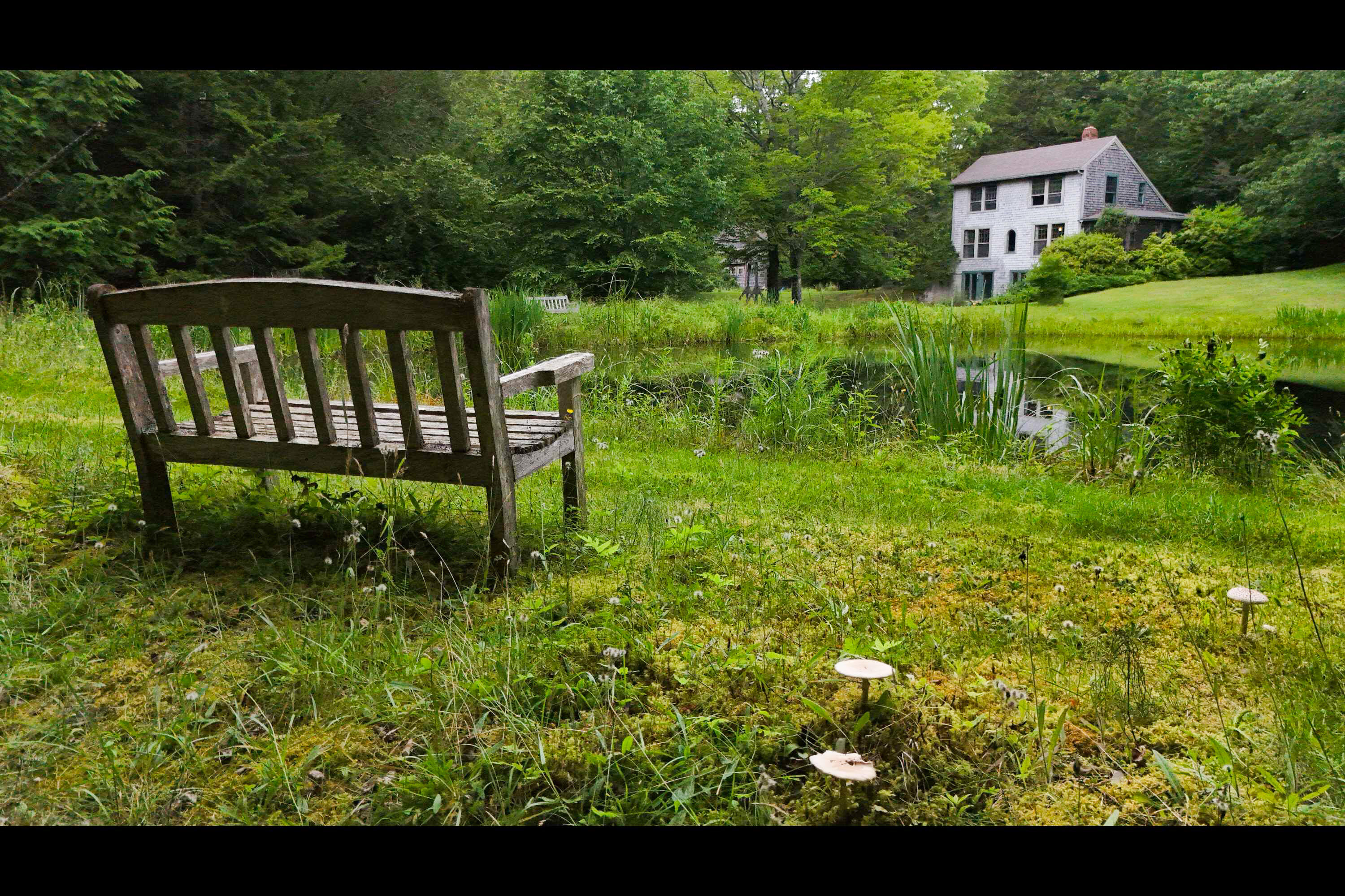 496 Old County Road Sedgwick ME 04676