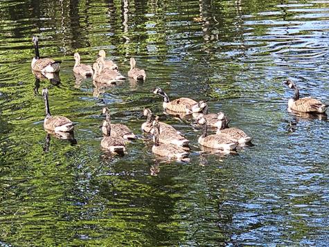 8 Longfellow School Road Bristol ME 04539