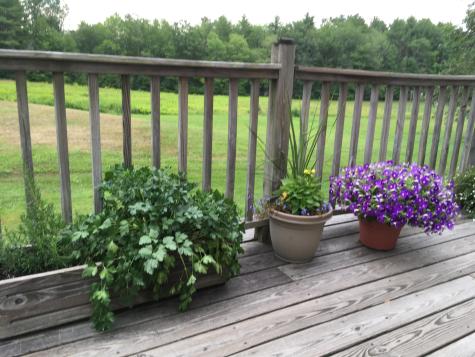 482 Back Road Shapleigh ME 04076