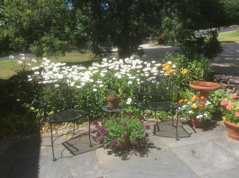 482 Back Road Shapleigh ME 04076