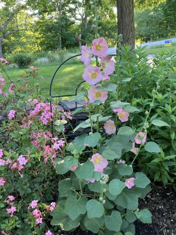 482 Back Road Shapleigh ME 04076