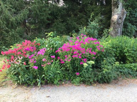 482 Back Road Shapleigh ME 04076