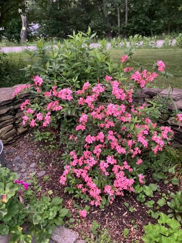 482 Back Road Shapleigh ME 04076