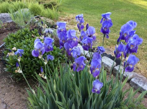 482 Back Road Shapleigh ME 04076