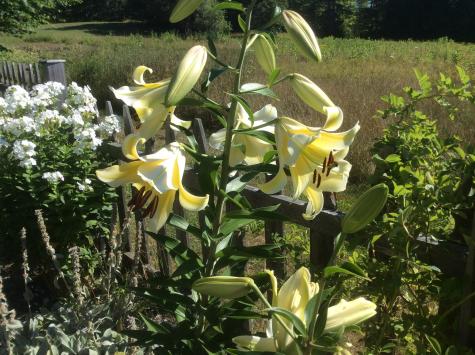 482 Back Road Shapleigh ME 04076