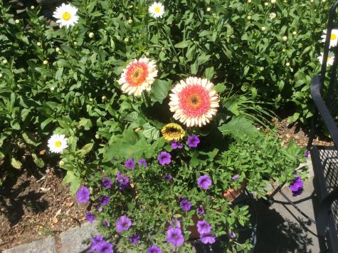 482 Back Road Shapleigh ME 04076