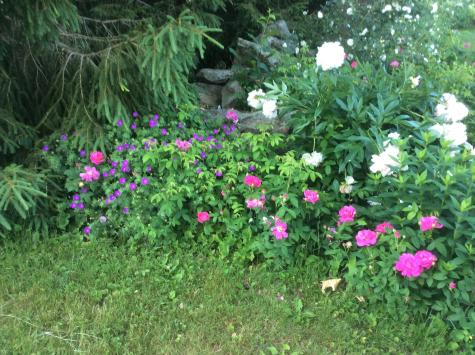 482 Back Road Shapleigh ME 04076