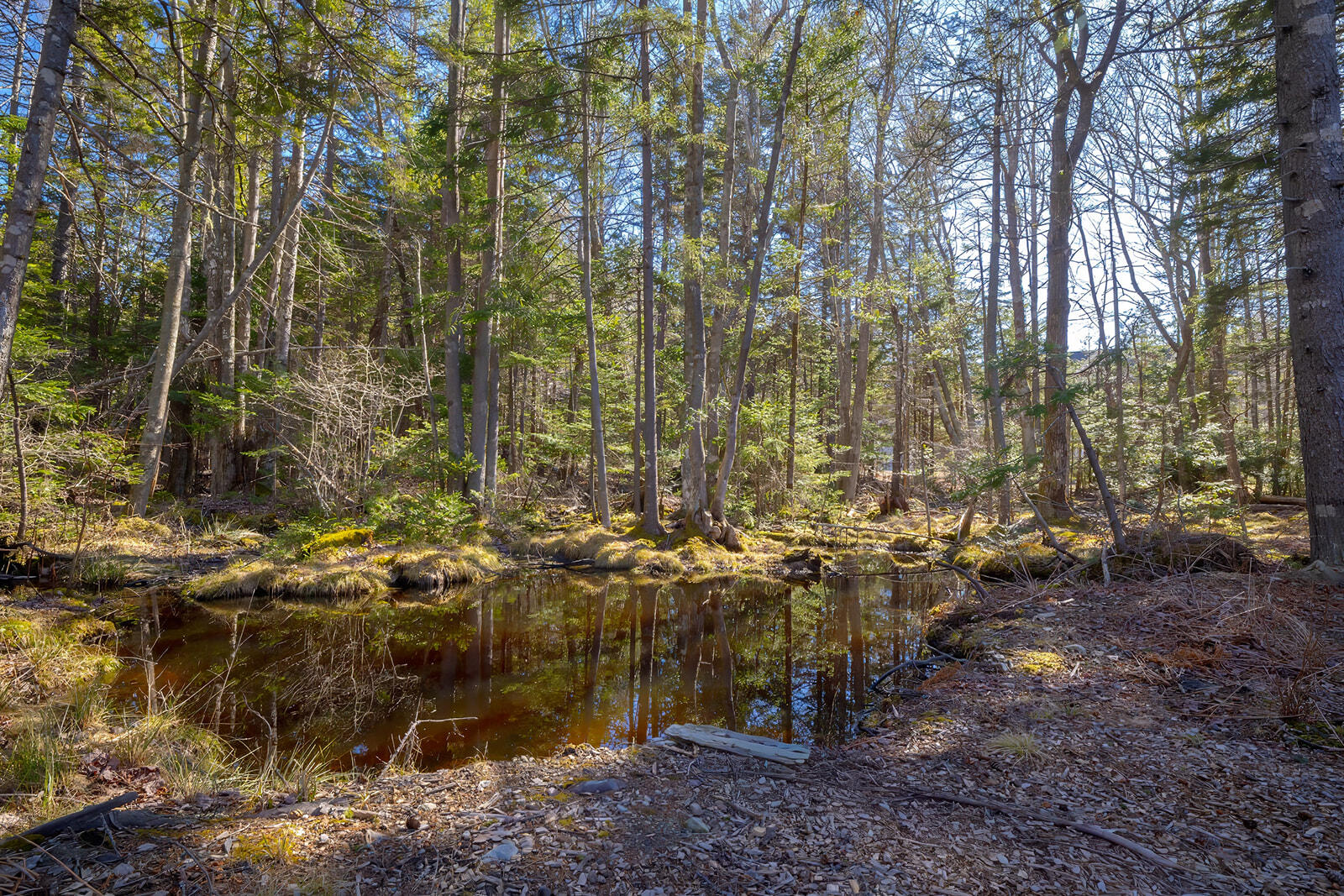 1999 Bayside Road Trenton ME 04605