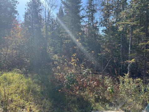 M1/L1-3 Bowerbank Road Bowerbank ME 04426