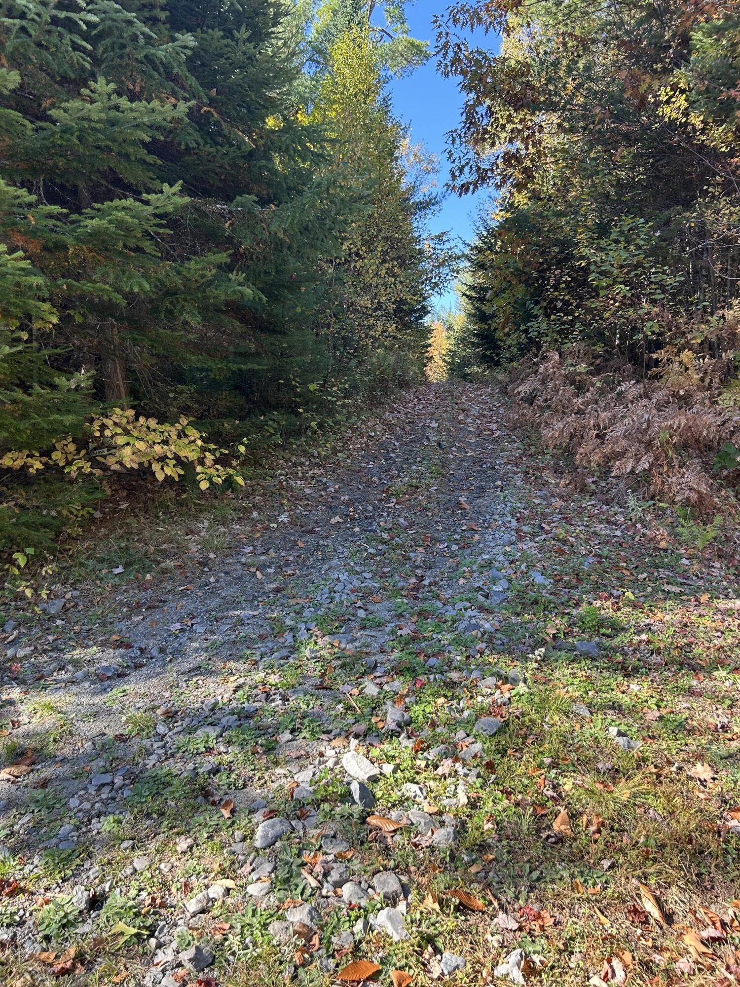 M1/L1-3 Bowerbank Road Bowerbank ME 04426