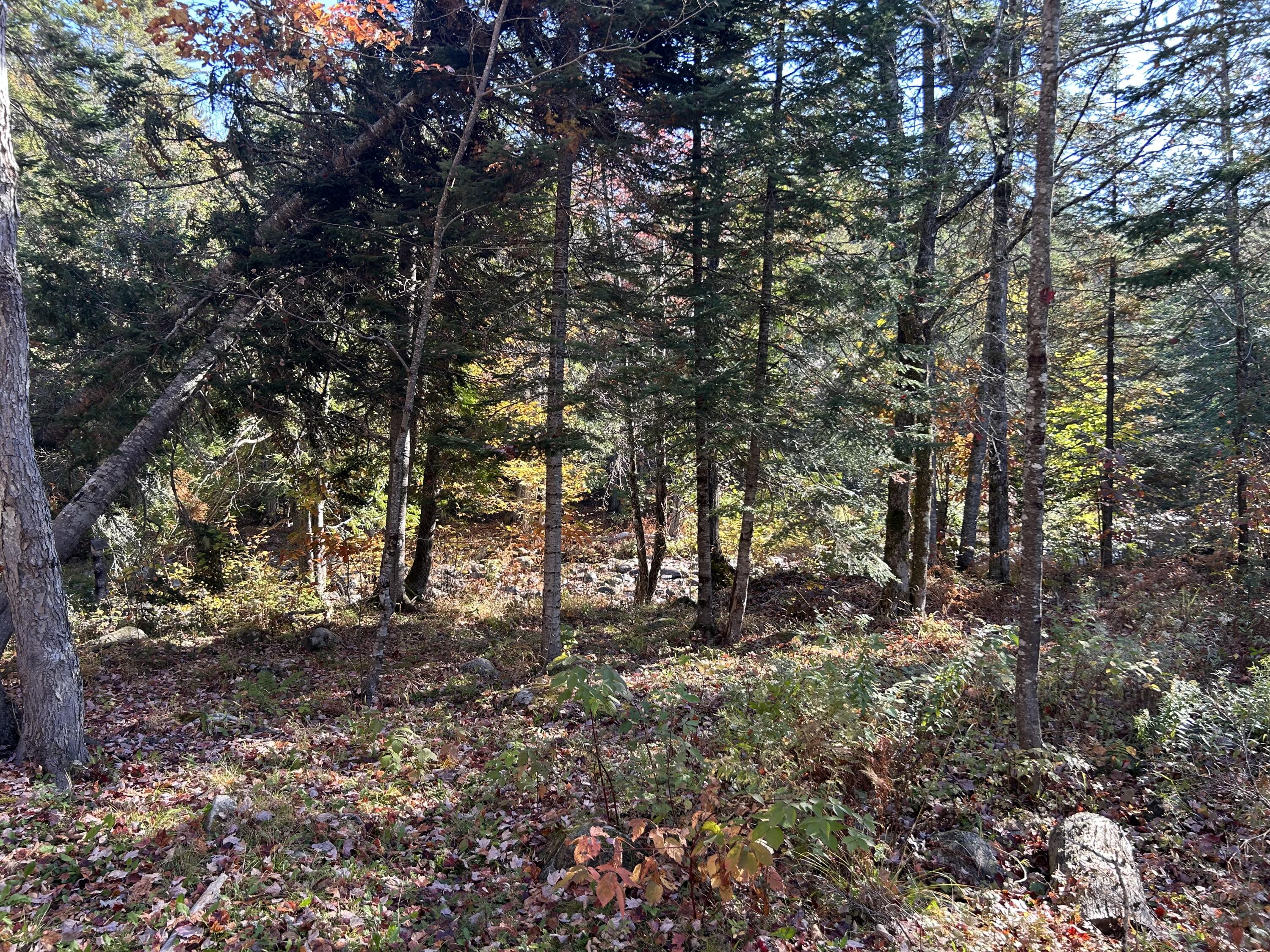 M1/L1-3 Bowerbank Road Bowerbank ME 04426