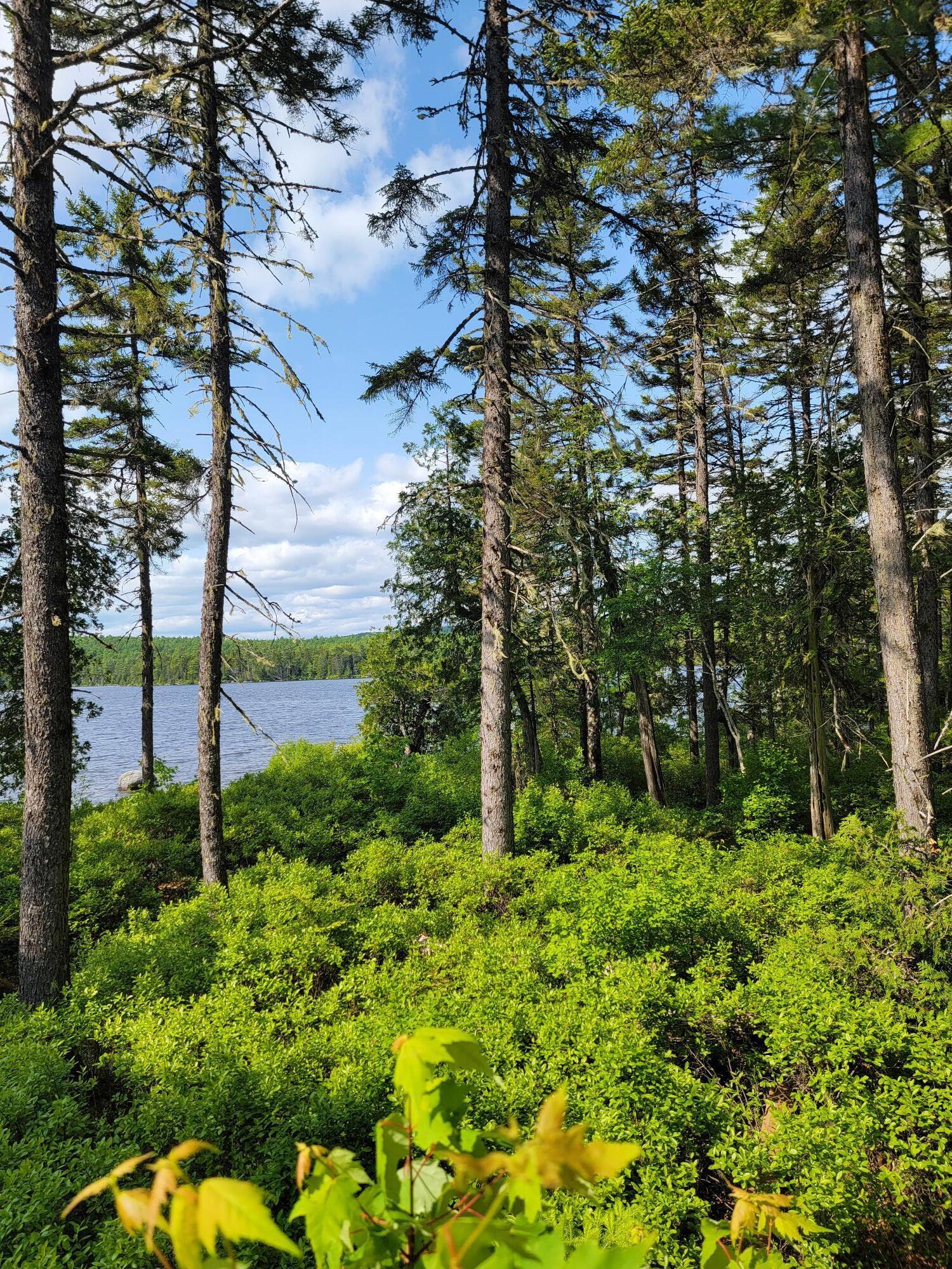 Lot 2 Horseshoe Lake T35 Md ME 04622