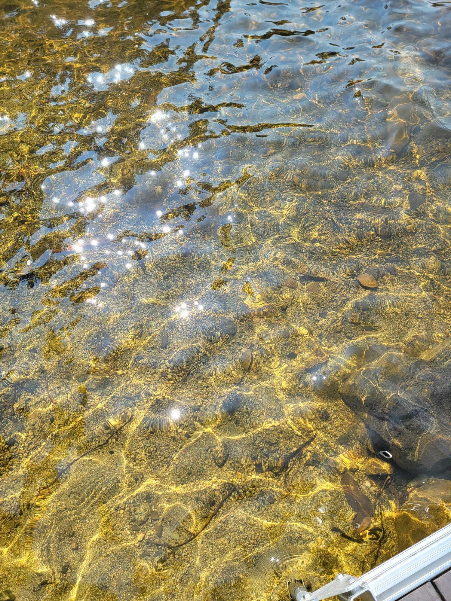Lot 2 Horseshoe Lake T35 Md ME 04622
