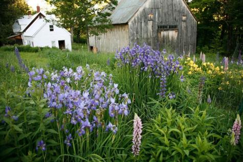 147 Mitchell Brook Road Temple ME 04984