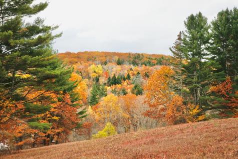 147 Mitchell Brook Road Temple ME 04984