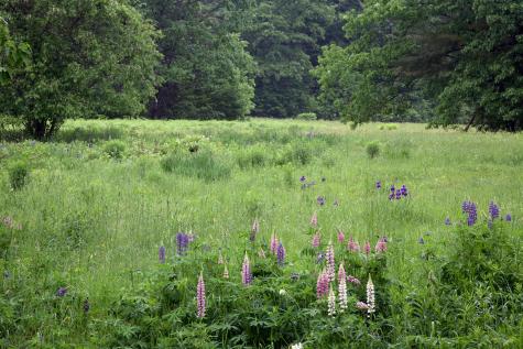 147 Mitchell Brook Road Temple ME 04984