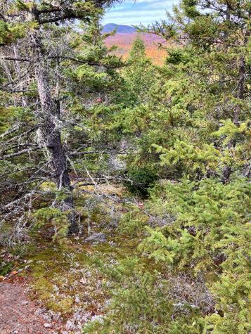 147 Mitchell Brook Road Temple ME 04984