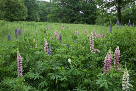 147 Mitchell Brook Road Temple ME 04984