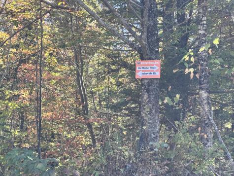 147 Mitchell Brook Road Temple ME 04984