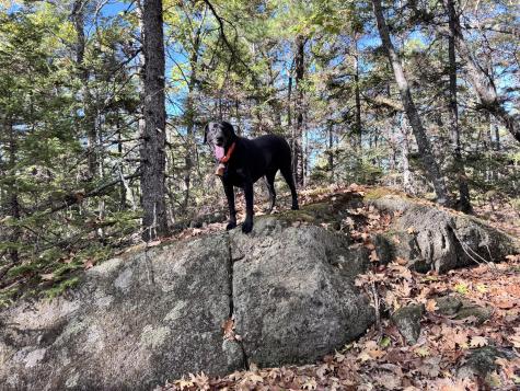 147 Mitchell Brook Road Temple ME 04984