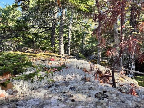 147 Mitchell Brook Road Temple ME 04984