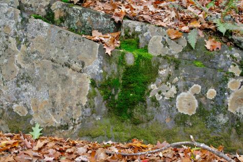 147 Mitchell Brook Road Temple ME 04984