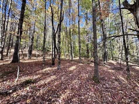 147 Mitchell Brook Road Temple ME 04984