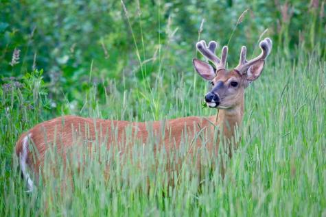 147 Mitchell Brook Road Temple ME 04984