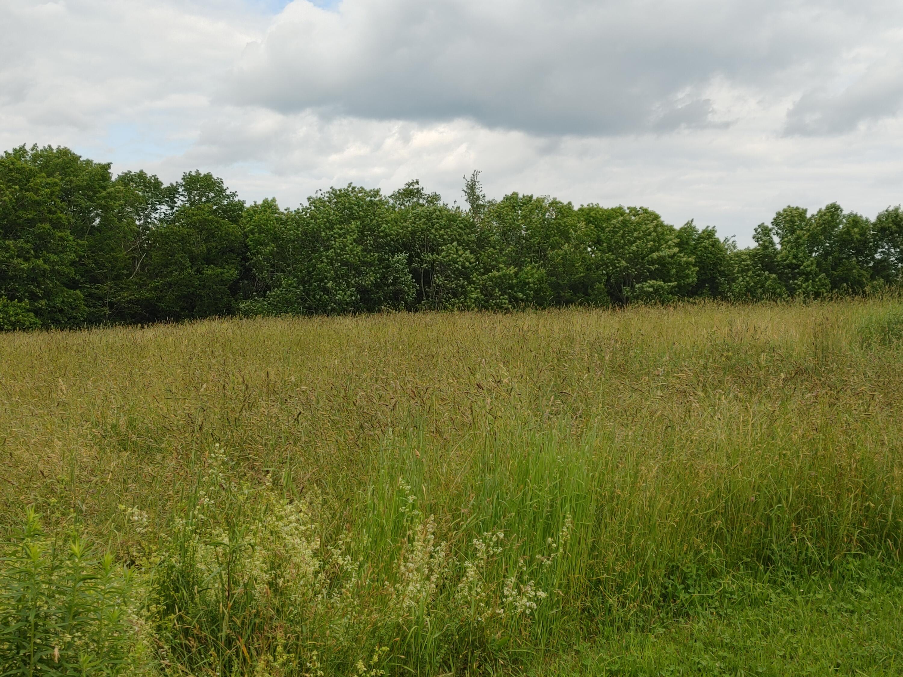 1009 Halldale Road Montville ME 04941