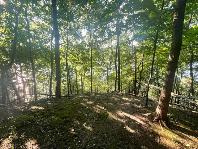 20 Riverview Terrace Brewer ME 04412