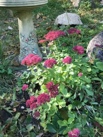 220 Libby Road Casco ME 04015