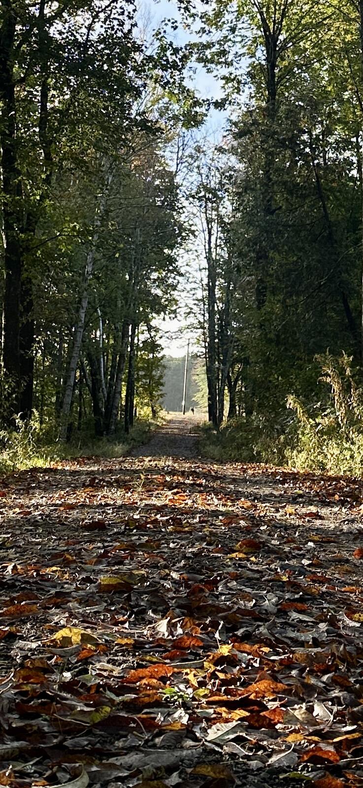 119 Reynolds Road Brooks ME 04921