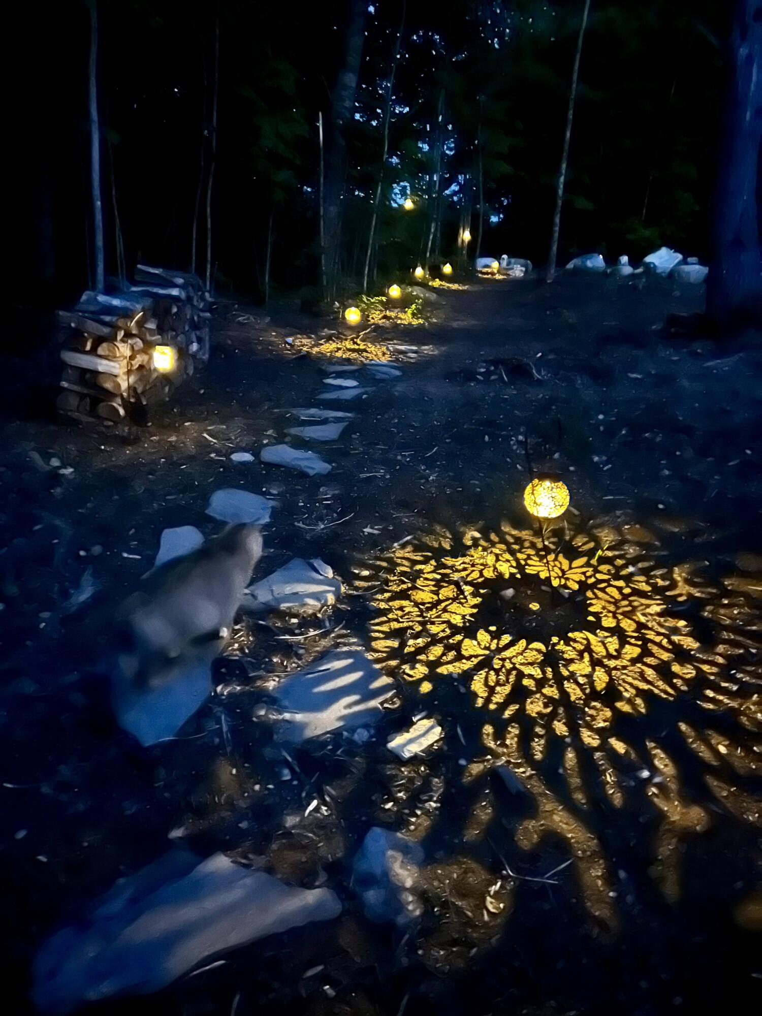 119 Reynolds Road Brooks ME 04921