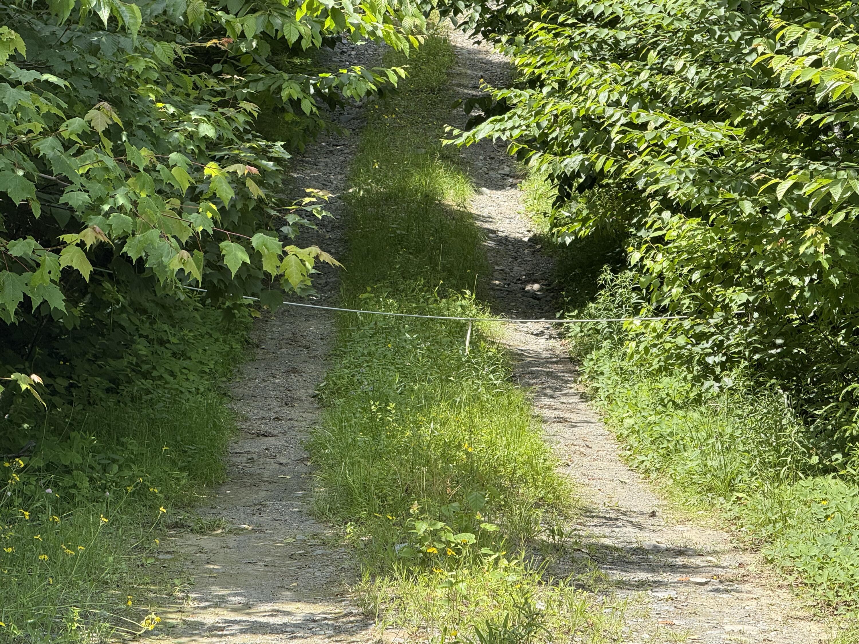 119 Campground Road Elliottsville Twp ME 04414