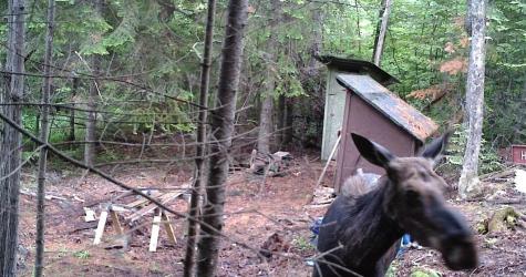 119 Campground Road Elliottsville Twp ME 04414