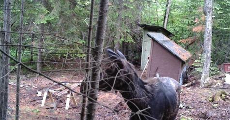 119 Campground Road Elliottsville Twp ME 04414