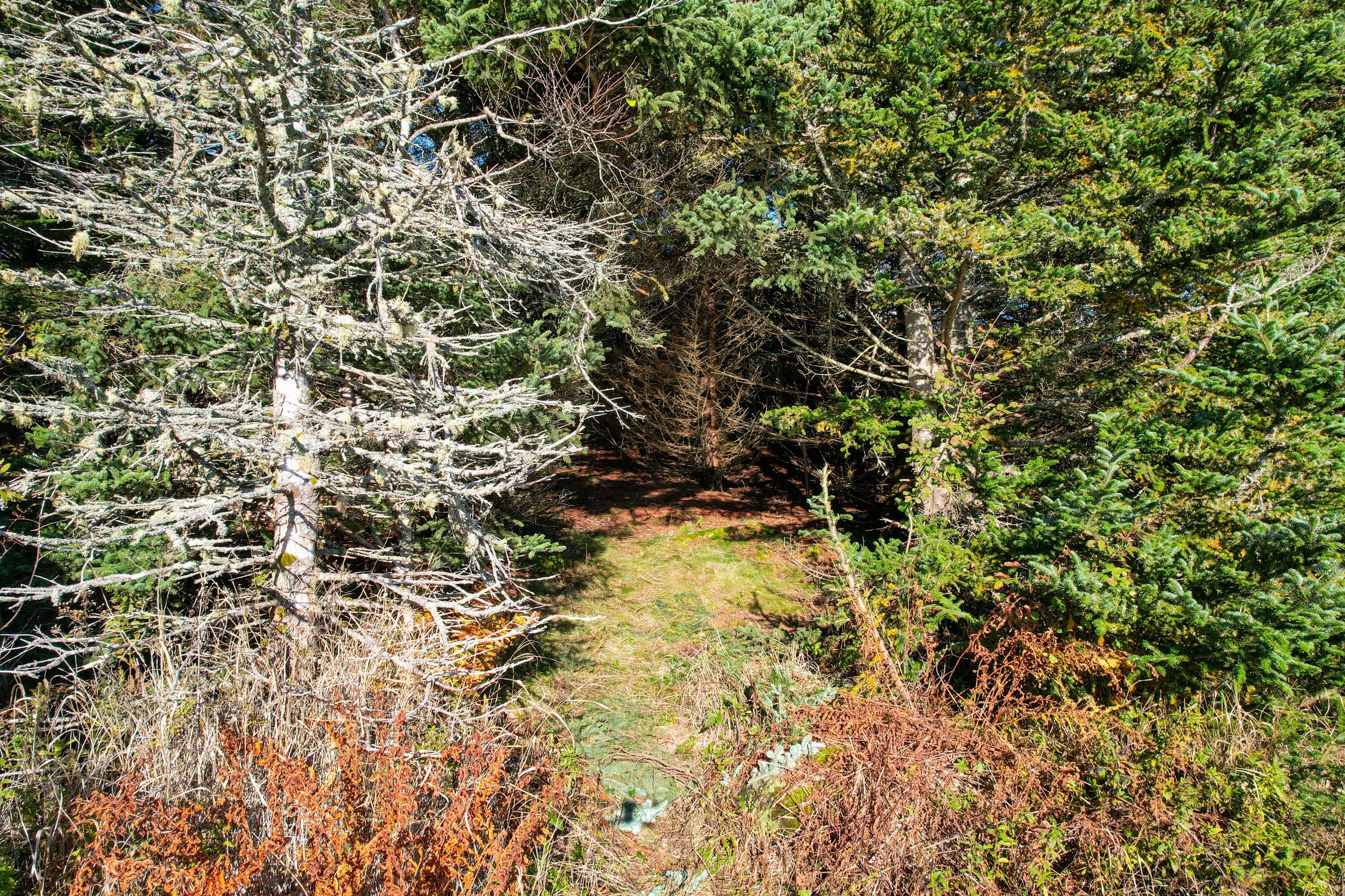44 Rabbit Road Jonesport ME 04649
