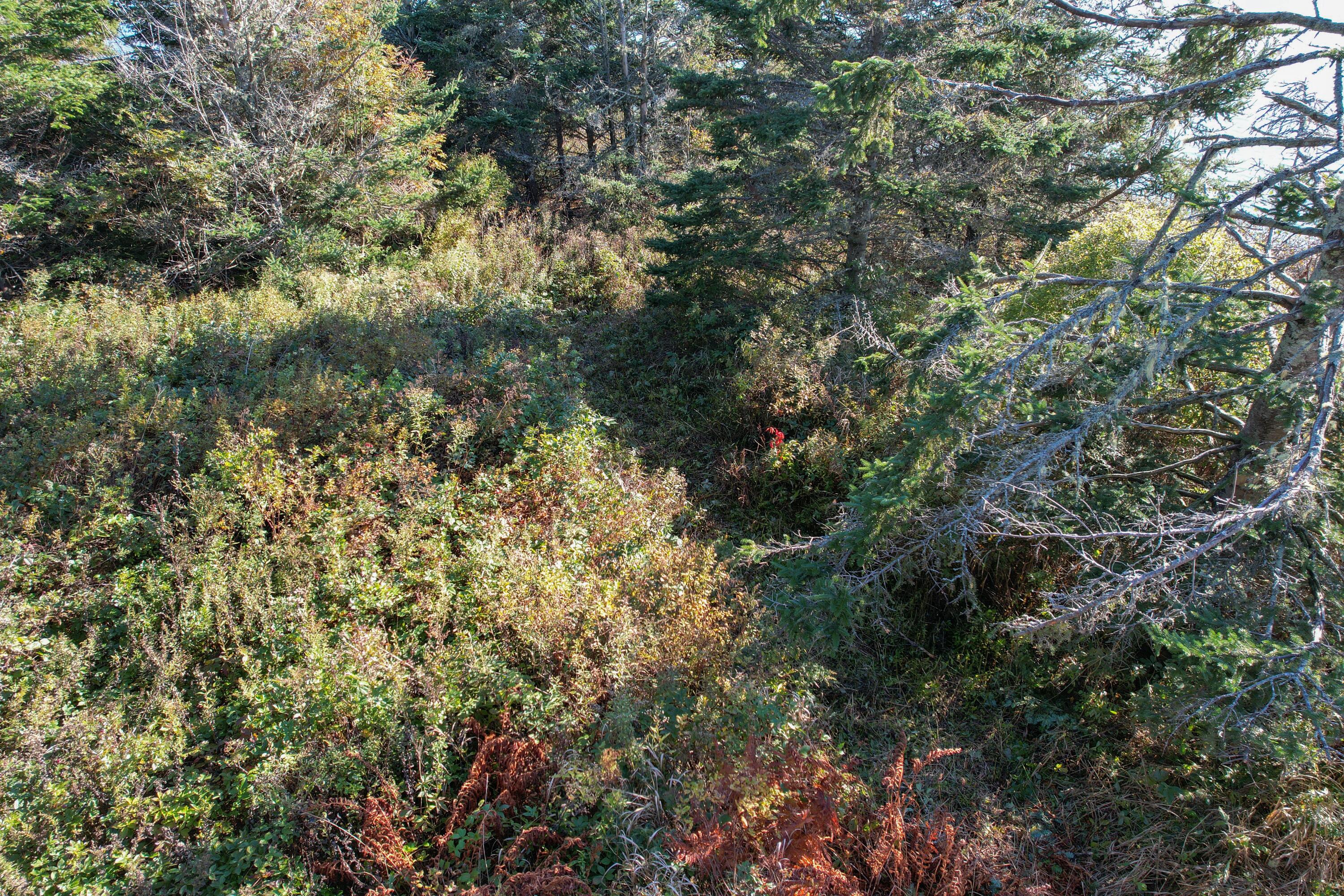 44 Rabbit Road Jonesport ME 04649