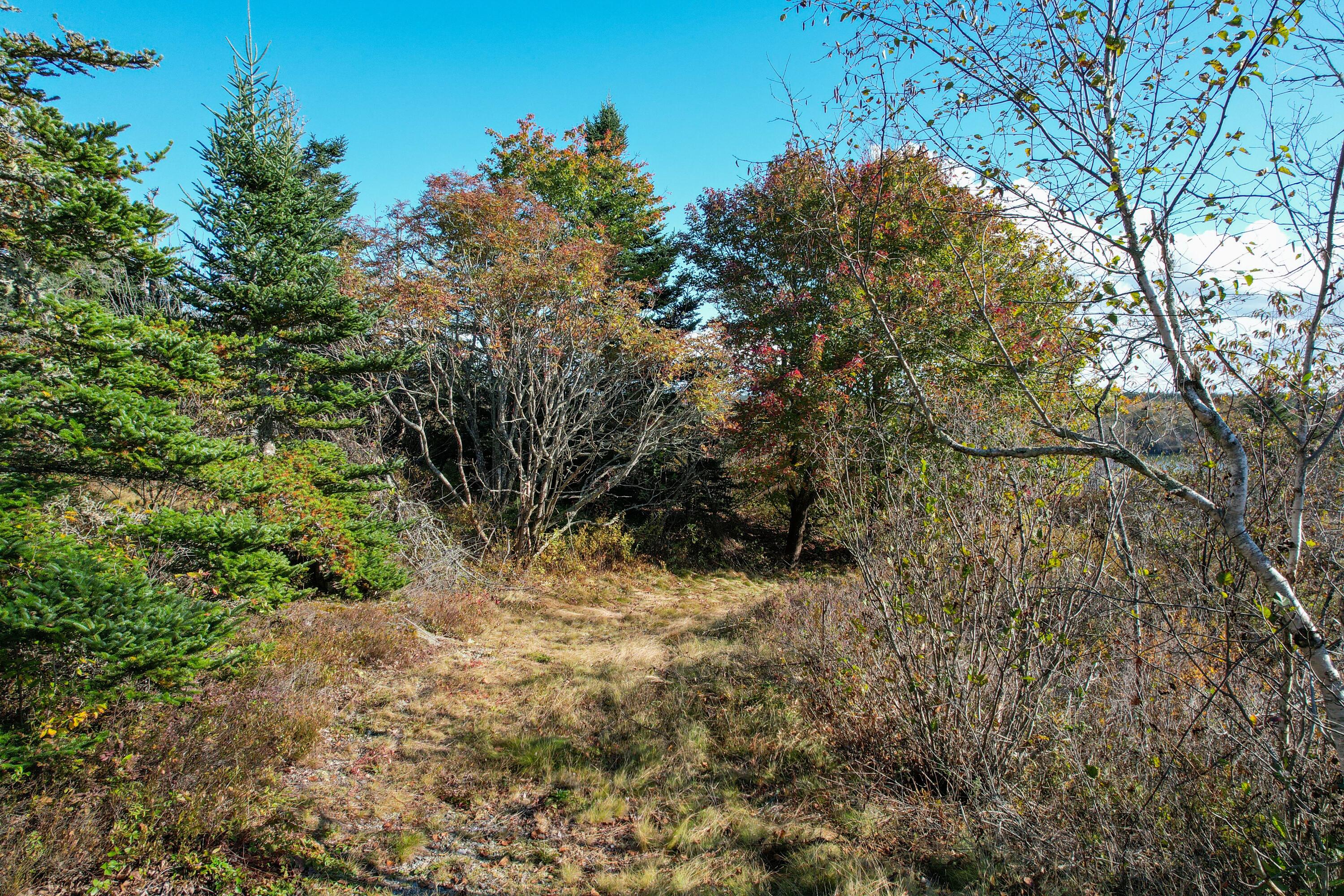 44 Rabbit Road Jonesport ME 04649