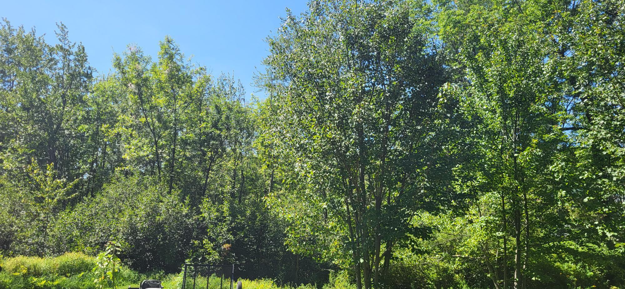 43 Quaker Road Sidney ME 04330