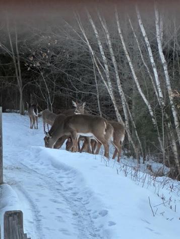 7 Emerald Acres Madison ME 04950