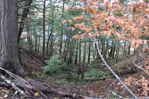 735 Sandy River Road Starks ME 04911