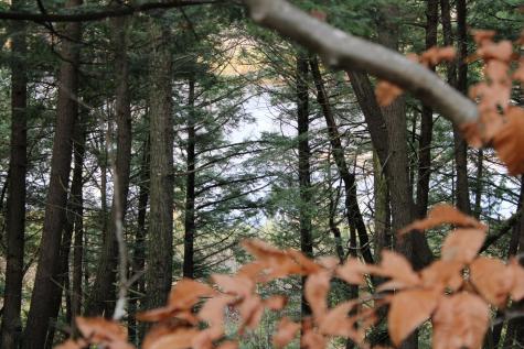 735 Sandy River Road Starks ME 04911