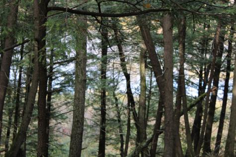 735 Sandy River Road Starks ME 04911