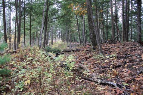 735 Sandy River Road Starks ME 04911