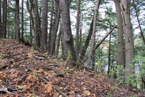 735 Sandy River Road Starks ME 04911