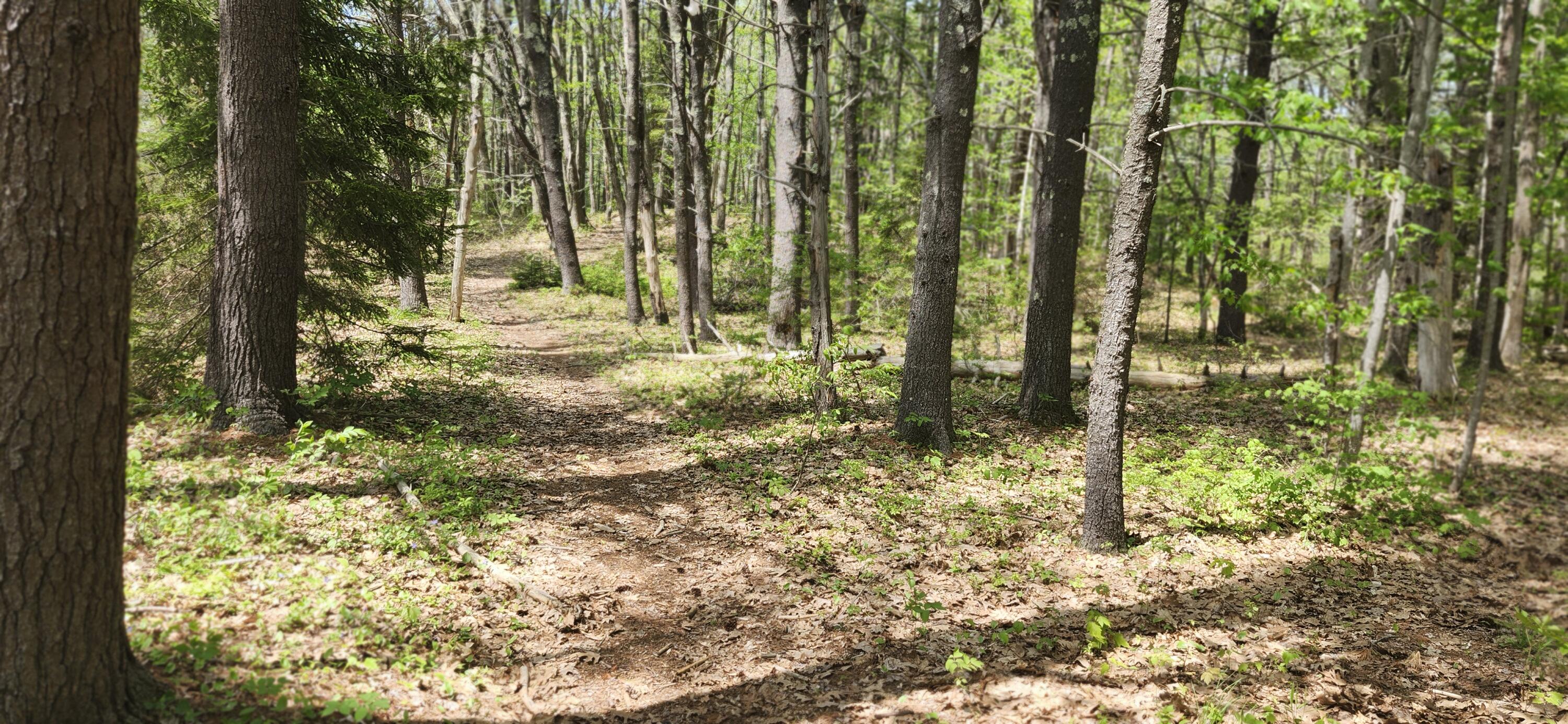 22 Walkers Lane Kennebunkport ME 04046