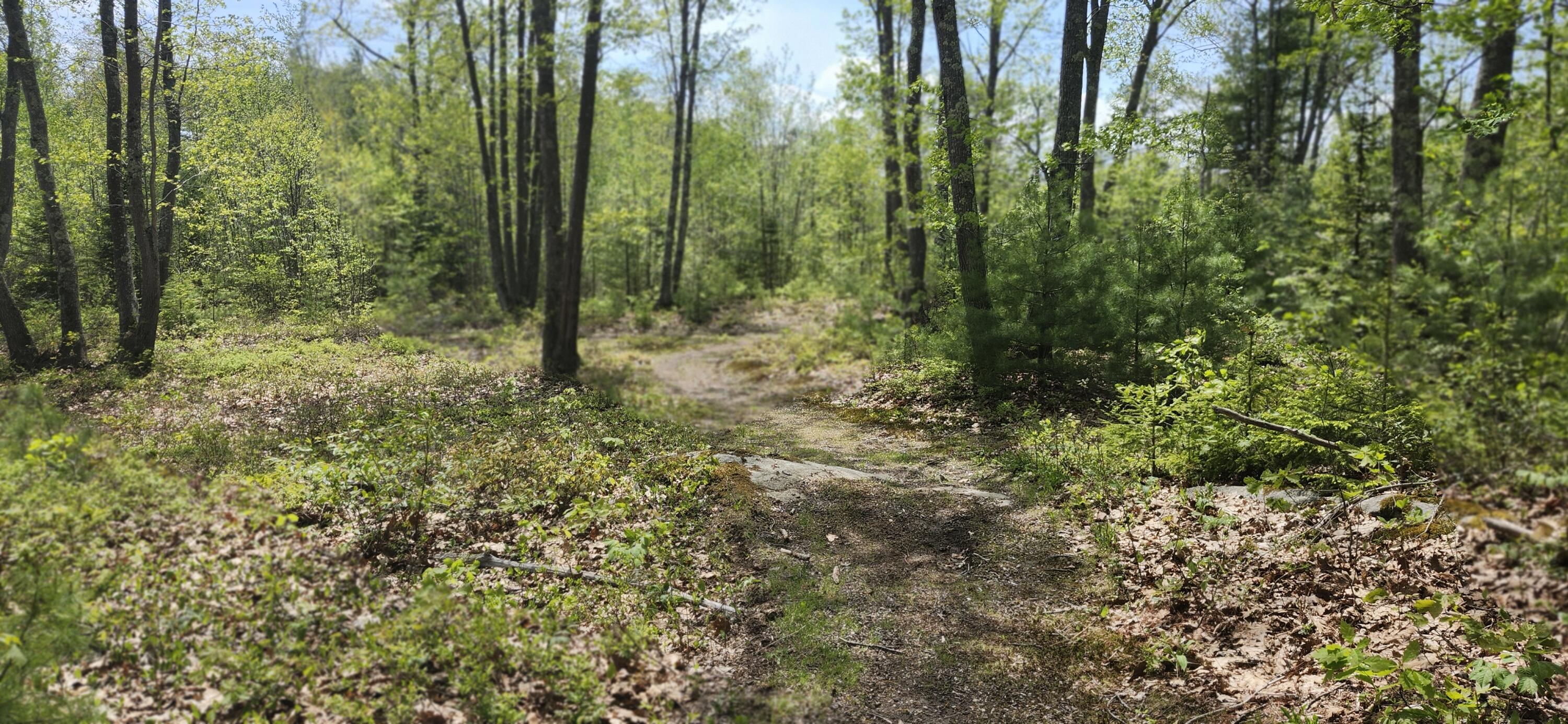 22 Walkers Lane Kennebunkport ME 04046
