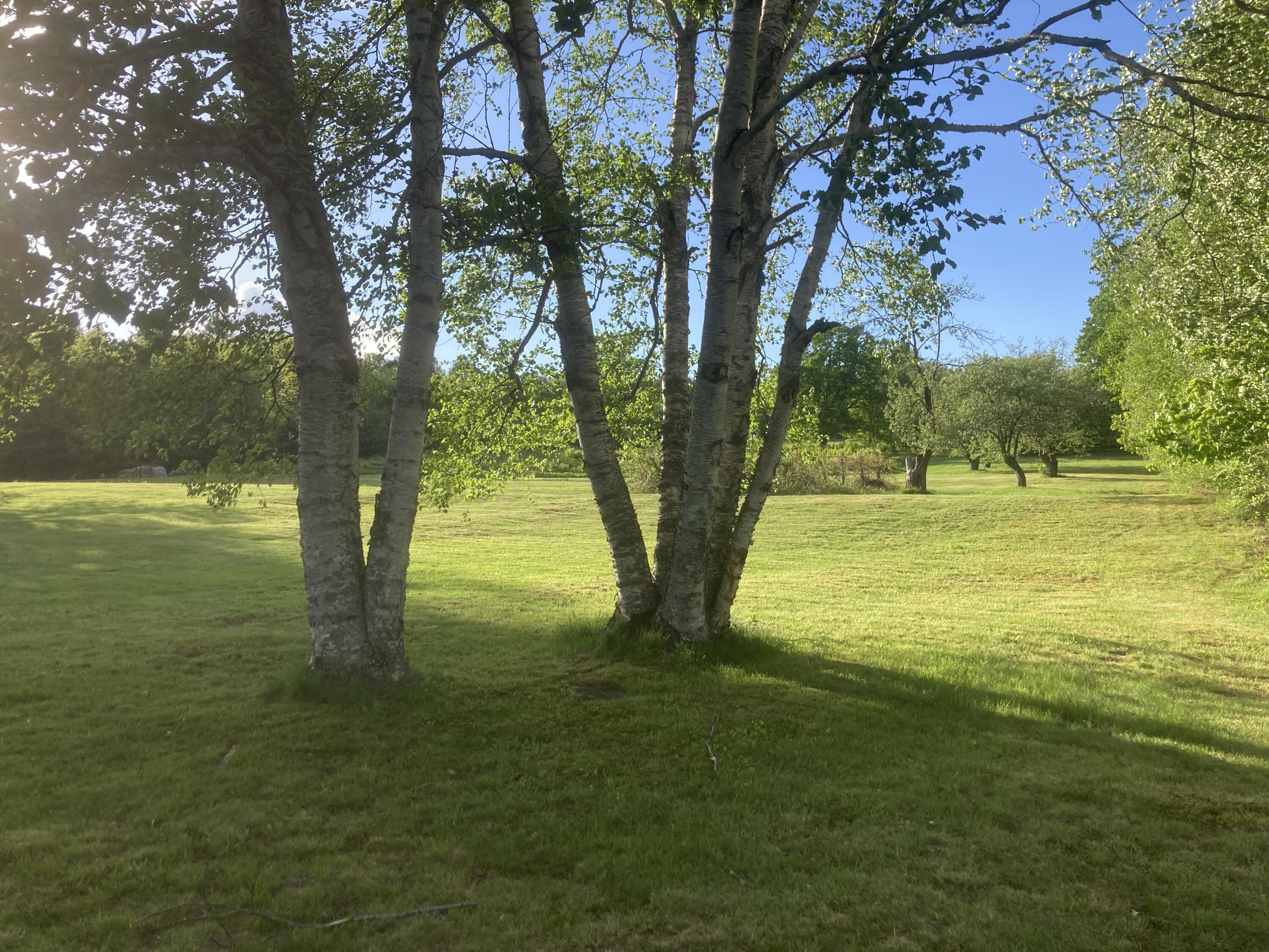 153 Holmes Road Dover-foxcroft ME 04426